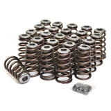 XDP 24V Performance Valve Springs & Retainer Kit 98.5-18 Dodge 5.9L/6.7L Cummins XD313