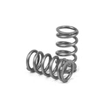 XDP Heavy Duty High Boost Valve Spring Set 1998.5-2018 Dodge 5.9L/6.7L Cummins